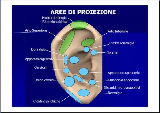 Punti di Auricoloterapia.