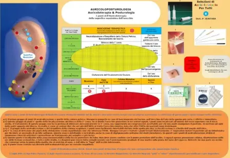 Scheda di AuricoloPosturologia. Autore Dott. P. Ventura.