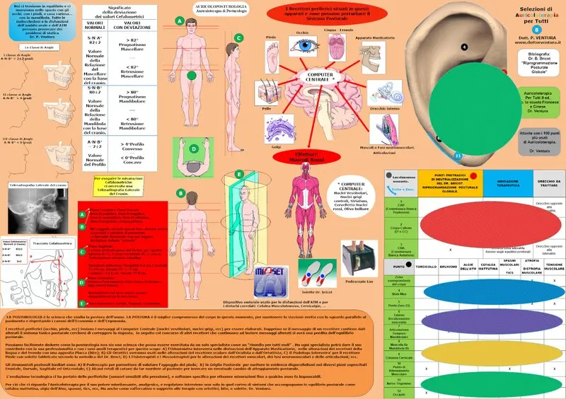 Scheda Auricoloterapia N. 8