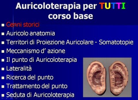 Corso di Auricoloterapia I livello sec. Nogier e MTC