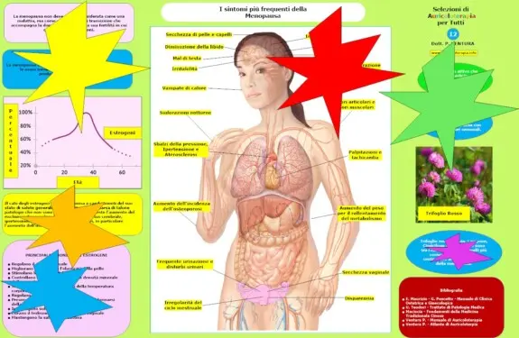 L'Auricoloterapia per la cura della menopausa