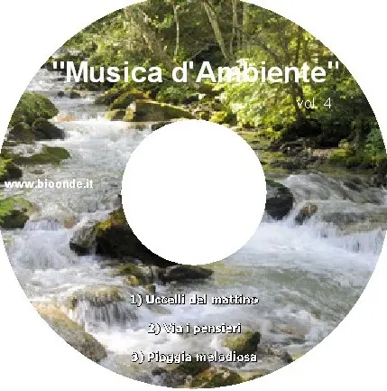 IMusica d'Ambiente vol. 4. Autore Dott. P. Ventura.